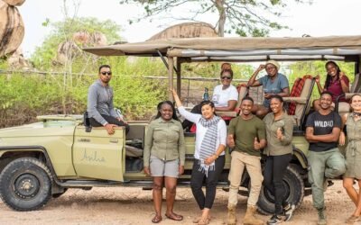 Positive Innovation: Chum Bites and WildAid