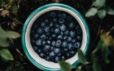 Polyphenols Demystified
