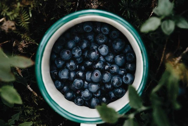 Unraveling the Mysteries of Polyphenols