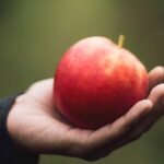 Protecting Our Food from Extinction