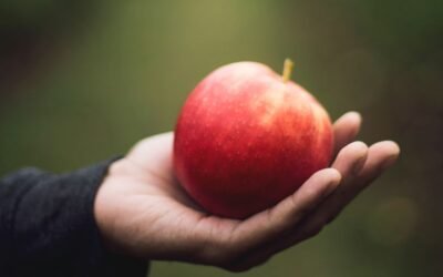 Protecting Our Food from Extinction Protecting Our Food from Extinction
