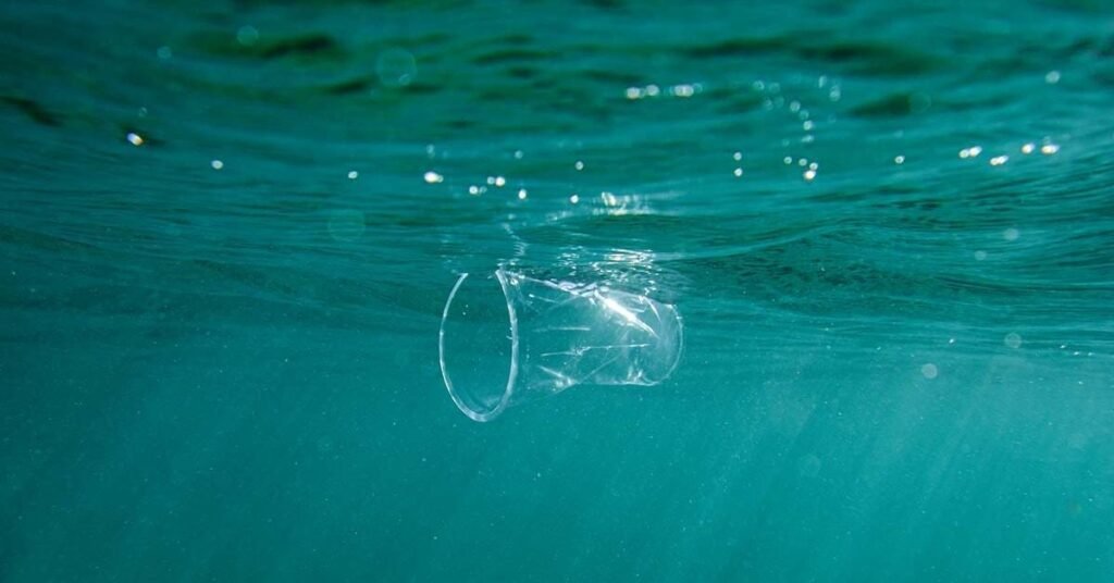 Plastic: It’s Present in Our Blood
