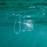 Plastic: It's Present in Our Blood