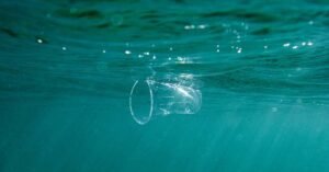 Plastic: It's Present in Our Blood