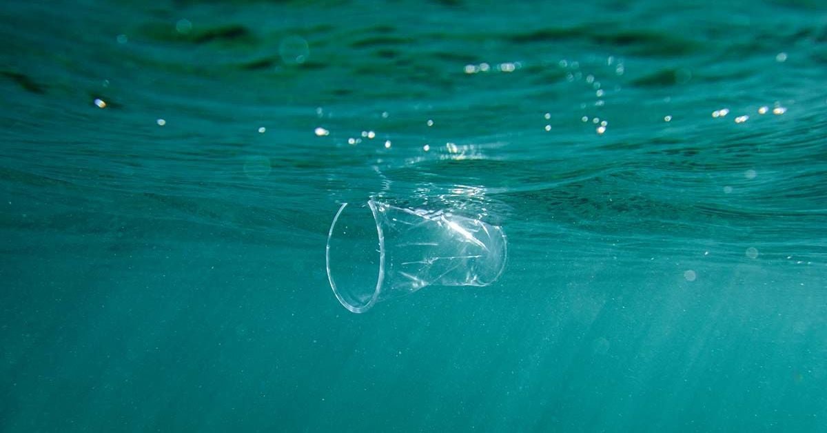 Plastic: It's Present in Our Blood