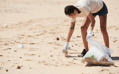 Microplastics: A Major Influence