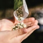 Empowering Your Seed Sovereignty for an Improved Food System