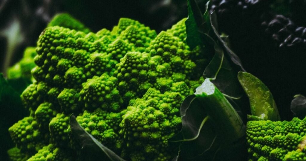 6 Expert Tips for Planning Vegan Meals Like a Pro