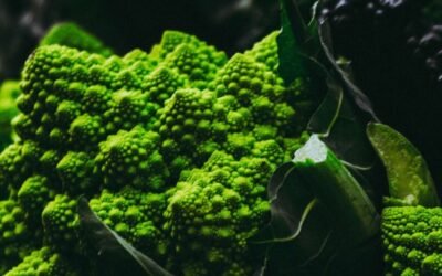 6 Expert Tips for Planning Vegan Meals Like a Pro