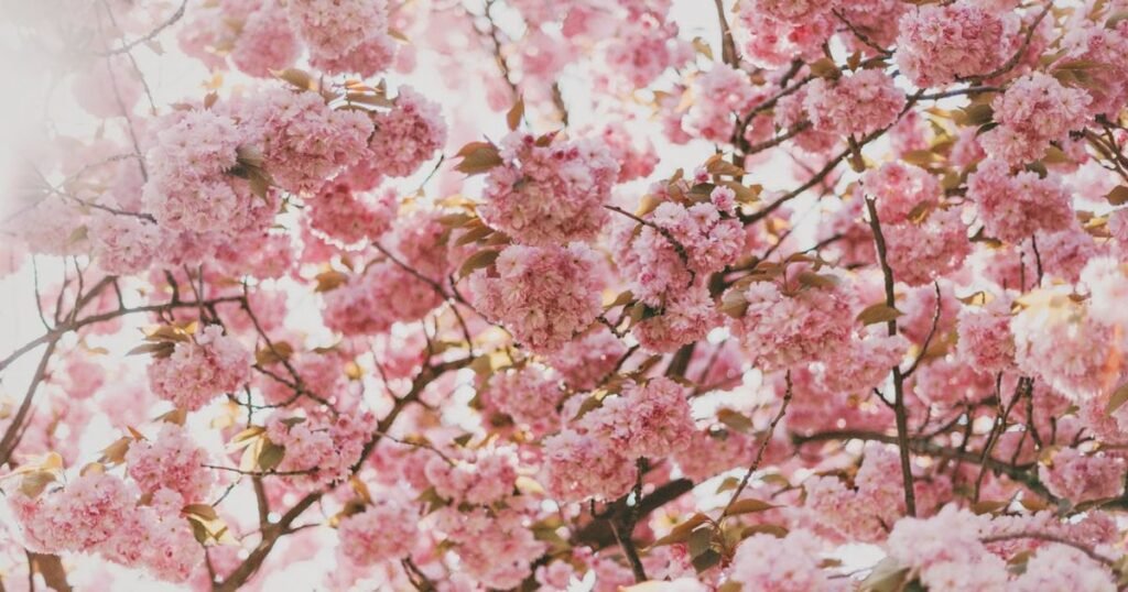 Intensifying the Focus on Seasonal Allergies