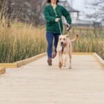 Imported Article – 2026-03-15 13:00:31