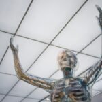 The Vital Role of Healthy Circulation in Overall Wellness