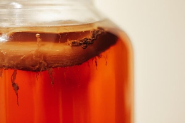 Kombucha Chronicles: Exploring the Enchantment of the Fermented Elixir