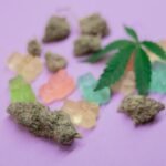 Recognition of Medical Cannabis in the UK's Health and Wellness Sector
