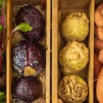 Vikki Nicolai La Crosse: Tips for Planning Holiday Recipes Featuring the Best Organic Seasonal Vegetables